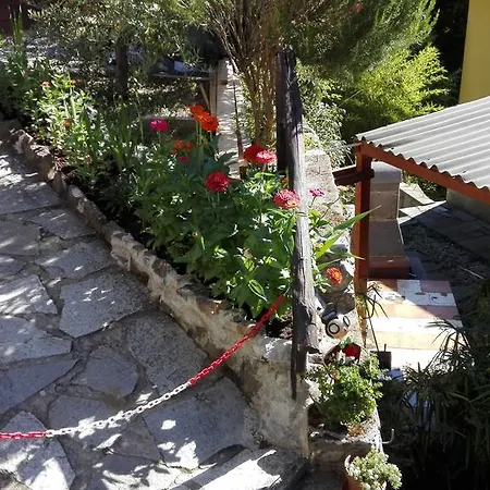 Il Ruscello *