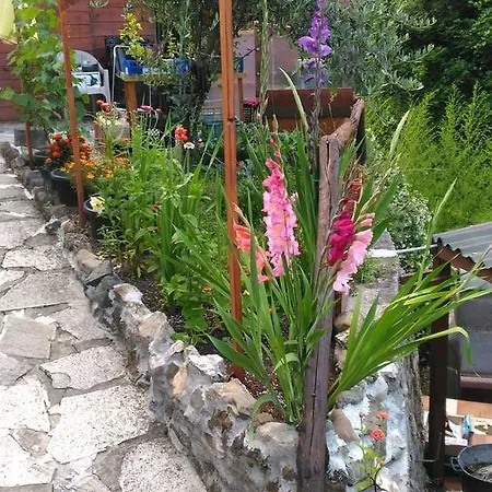 Il Ruscello Bed & Breakfast Levanto